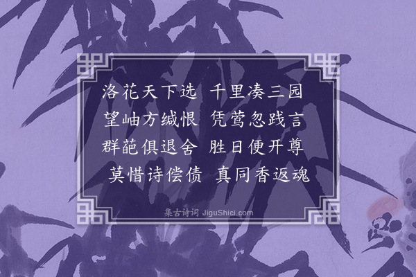 洪适《得洛中牡丹》