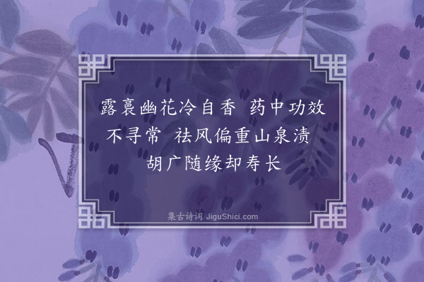 史铸《菊花·其六》