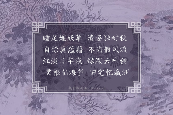 杨桂森《秋海棠》