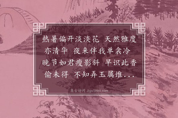 杨桂森《晚香玉》