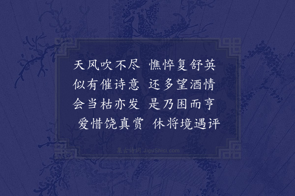 沈光文《菊受风残又复无雨润累累发花虽不足观亦可聊我慰也》