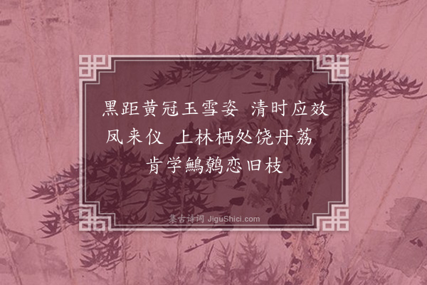 曹义《白鹦鹉》