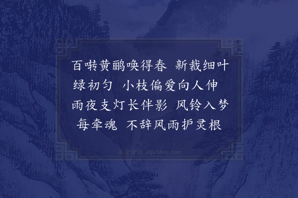 周燕婷《浣溪沙·门前小树》