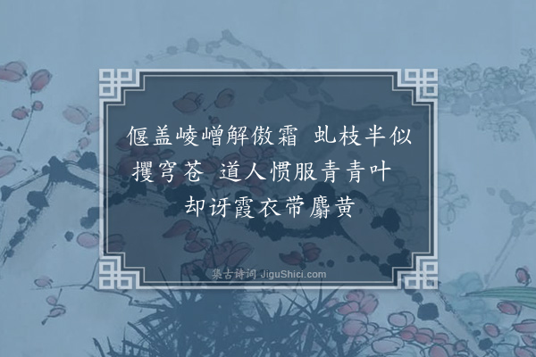 李之世《老柏》