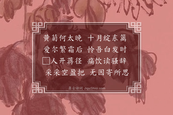 黄锦《咏菊·其一》