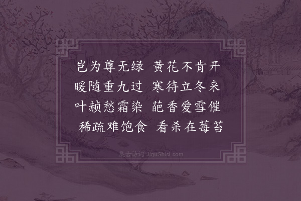 屈大均《晚菊·其一》