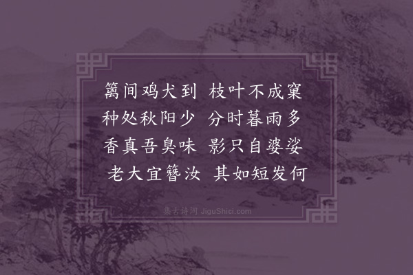 屈大均《菊·其三》