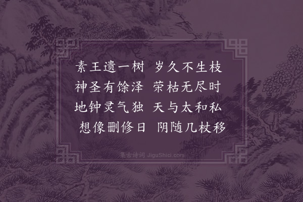 屈大均《夫子手植桧·其二》