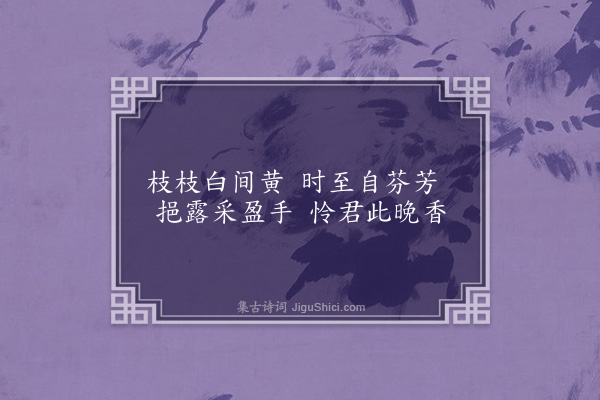 屈大均《菊·其一》