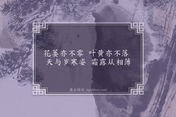 屈大均《菊·其二》