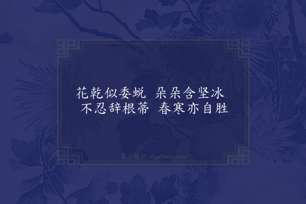 屈大均《菊·其五》