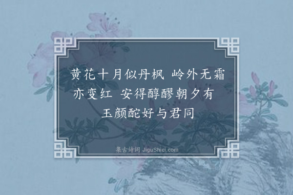 屈大均《黄花·其一》