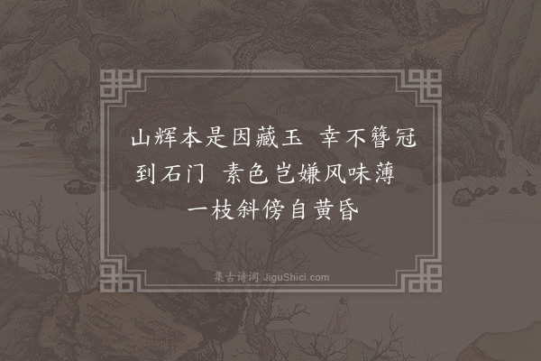 释函是《胆瓶玉簪花》