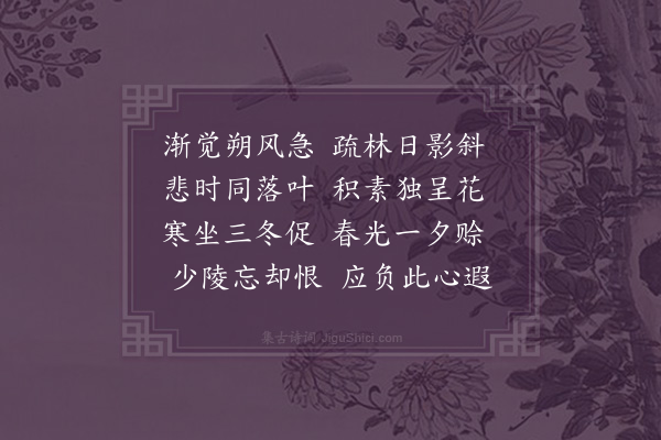 释函是《六麻》