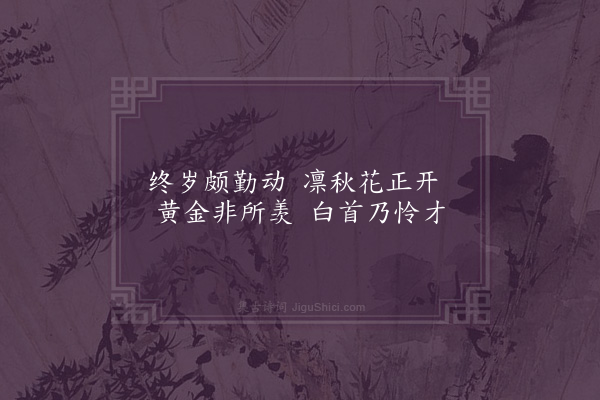 成鹫《赏菊·其一》