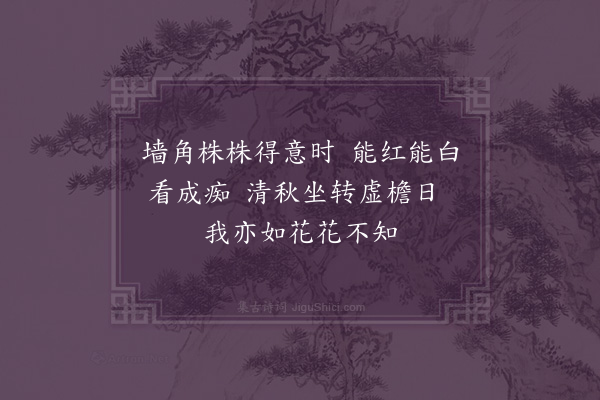 林光《对凤仙花》