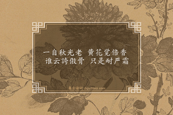 周馨桂《菊》