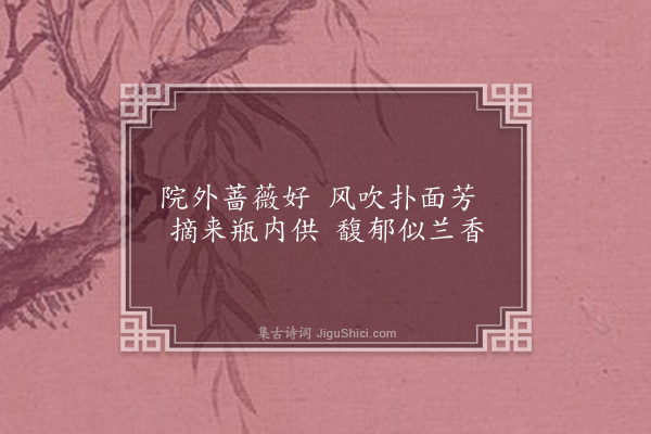 杨浣芬《蔷薇》