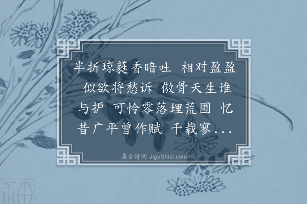 丁一揆《凤栖梧·观庭梅》