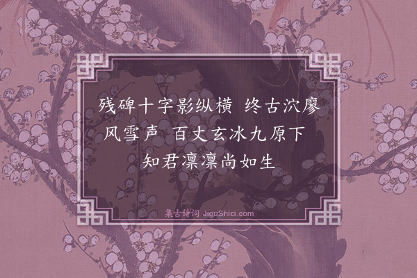 程滨《观璧师南极摄影七绝句·其七·南极孤坟》