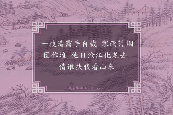 金鉴才《自题画竹》