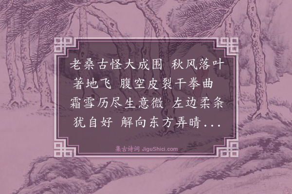 张自超《桑》