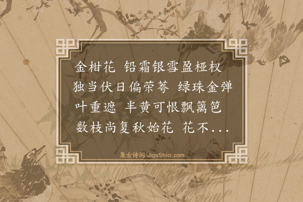 陈谟《金柑花》