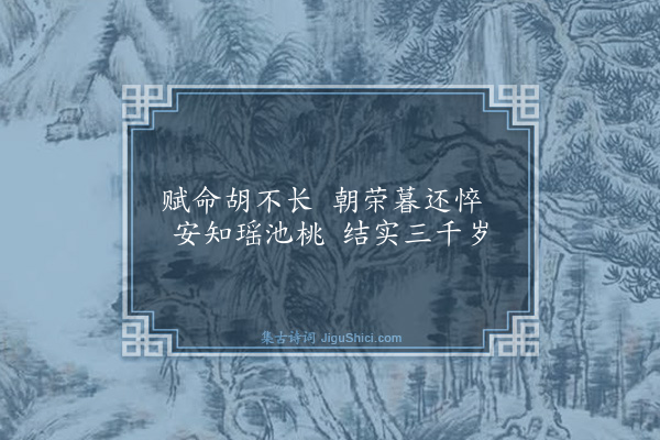胡奎《槿花有感》