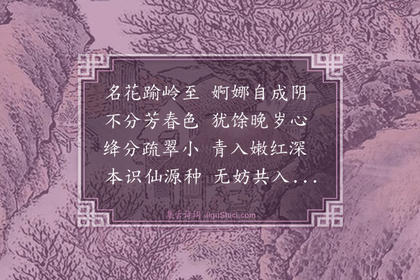 王世懋《夹竹桃花·其一》