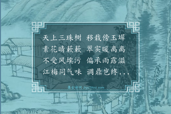 何乔新《梦中咏珍珠李》