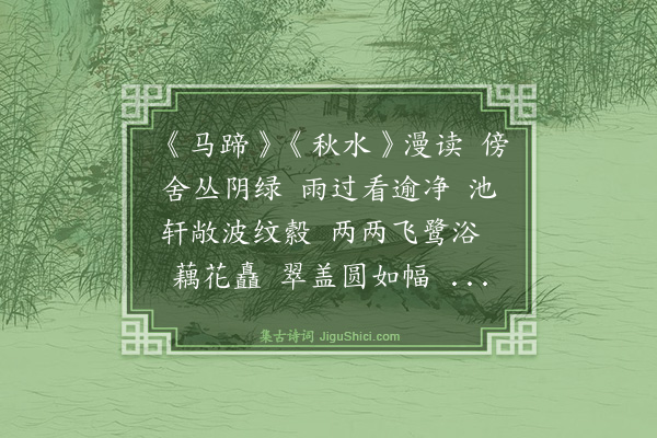 曹亮武《隔浦莲拍近·赏荷》